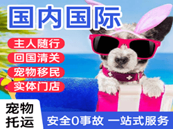 喀什徕宁航空货运国际宠物托运 【国
